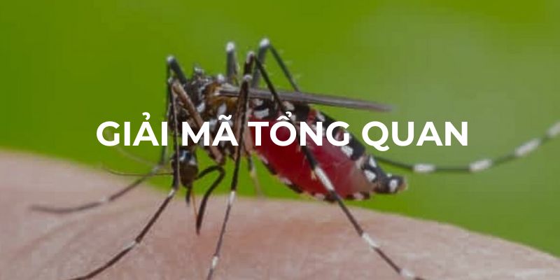 Giải mã tổng quan về giấc mơ thấy muỗi cắn