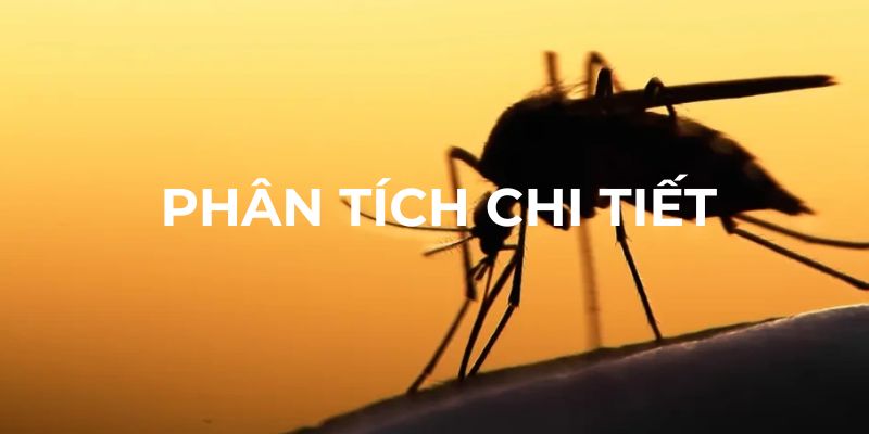 Phân tích chi tiết về giấc mơ thấy muỗi cắn