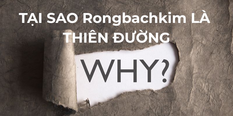 Tại sao rongbachkim.cx là thiên đường 