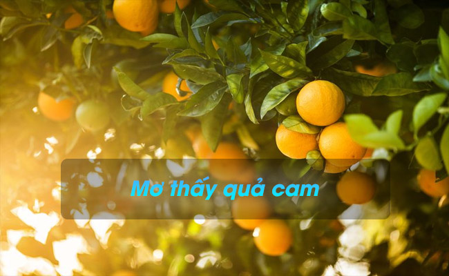 Nằm mơ thấy quả cam có ý nghĩa gì? Đánh con gì chắc thắng?