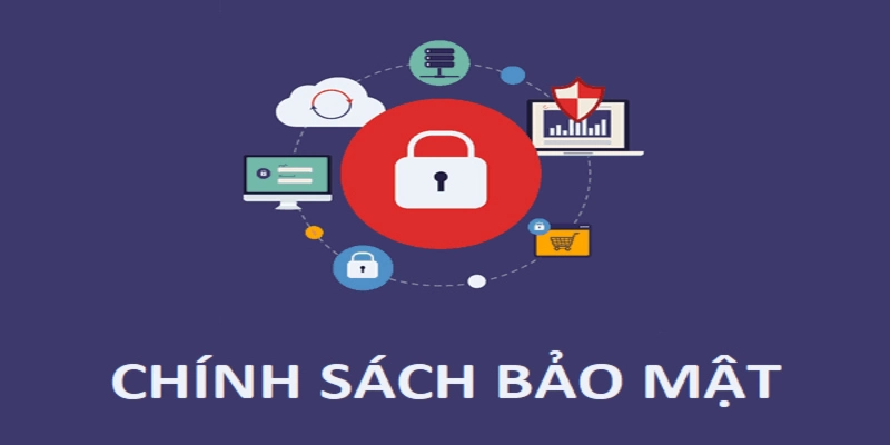 Thông tin liên hệ về chính sách của hệ thống