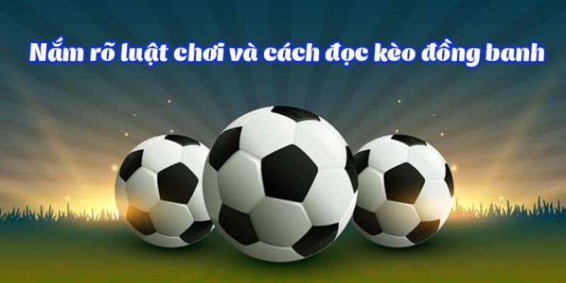 Nội dung về luật chơi và cách đọc kèo cơ bản