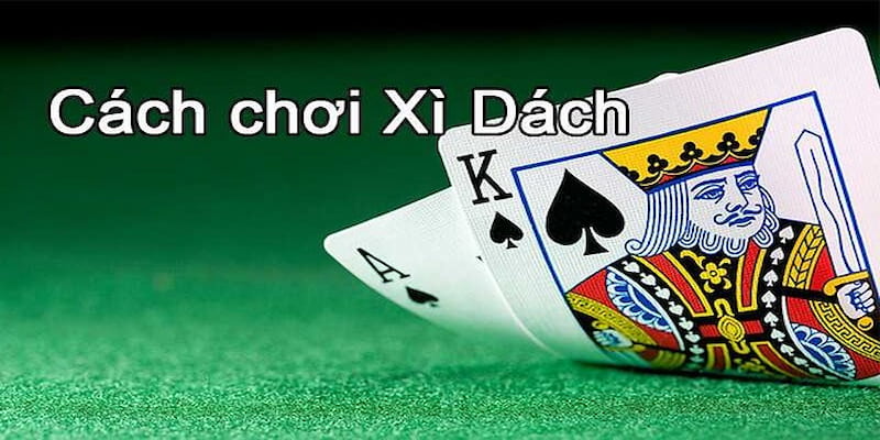 Vận dụng các cách chơi xì dách không thua