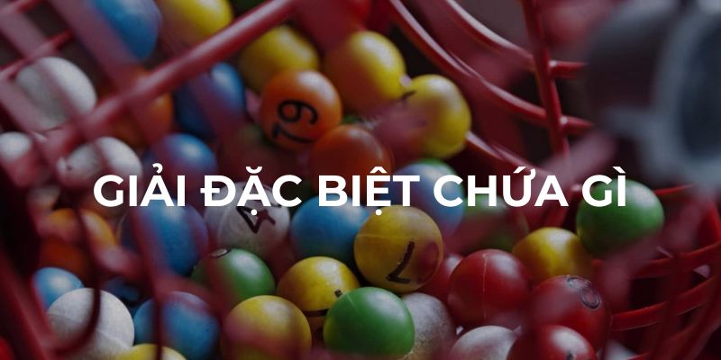 Giải đặc biệt chứa gì